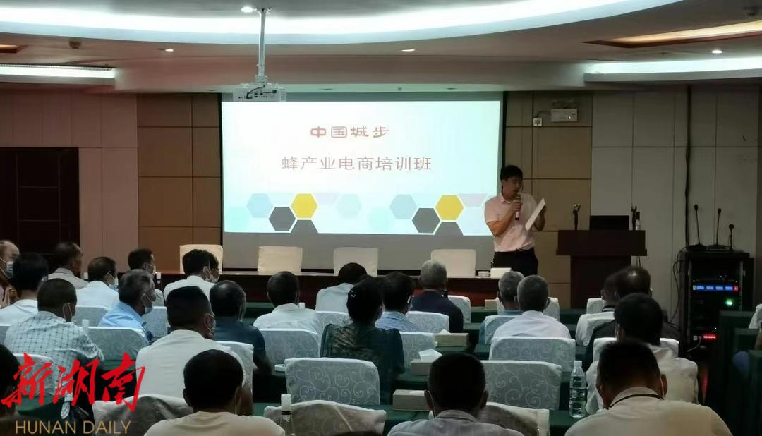 城步商务局:招商引资促发展 推进电商助增长_邵阳头条网